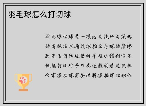 羽毛球怎么打切球